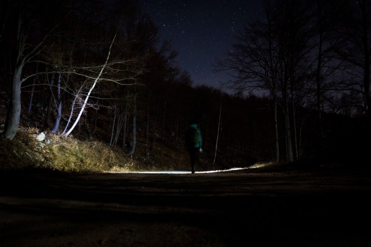 47935902008_e5683a4110_k