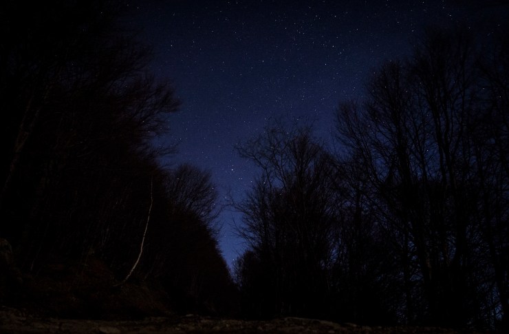 47935904651_68553017e2_k