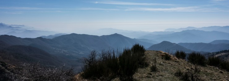 32637995617_699686ec52_o