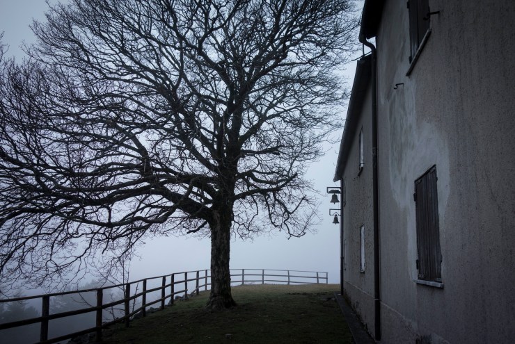 32689729607_a19d672409_k