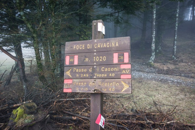 32689748077_b41d9fea29_k