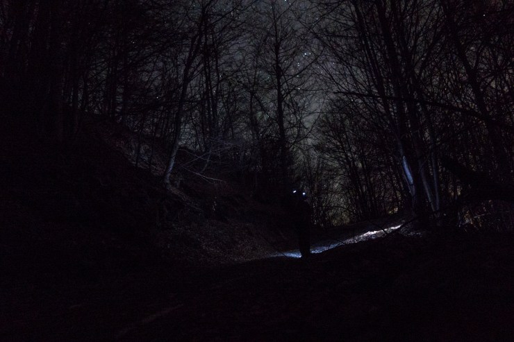 33623309388_0ae8c14c6e_k