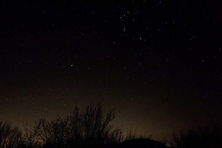 33681880848_e13493ba77_k