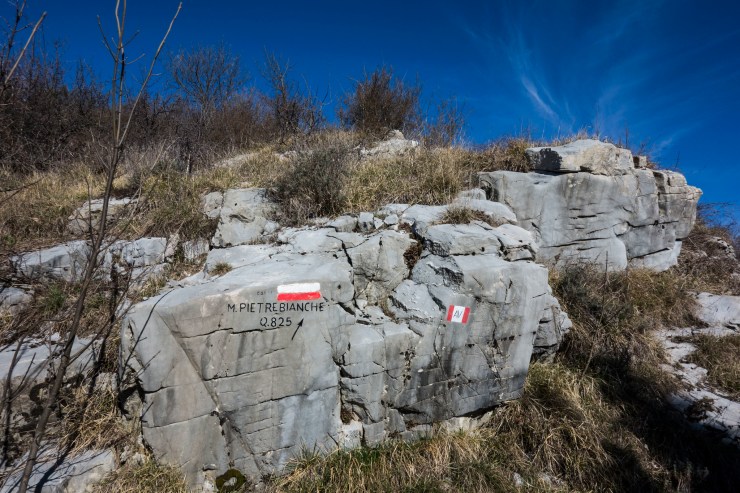 33703608178_809944e0d2_k