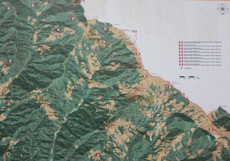 33754936968_03b26cb60d_k