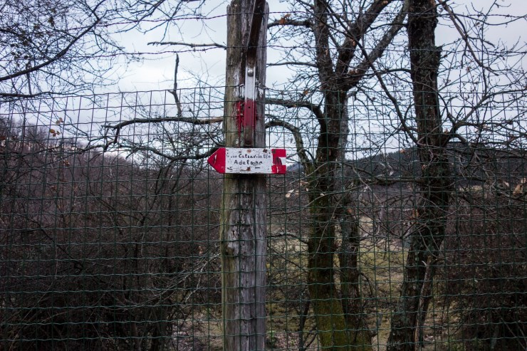 33754980458_7b43d148b1_k