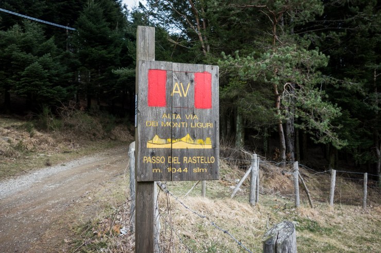 33754997008_44dd6ac0d6_k