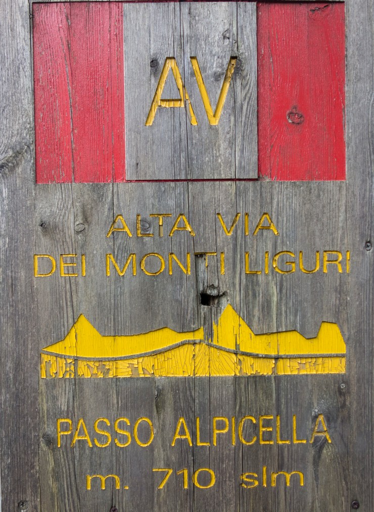 40592654003_dd4400f14b_k