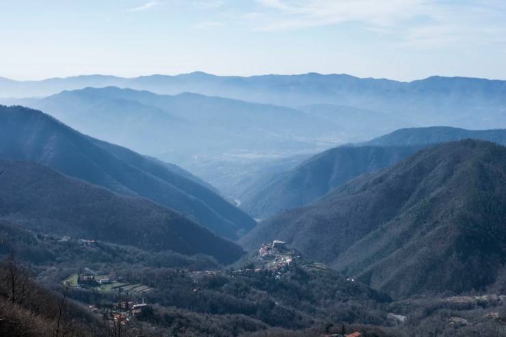 40614477983_0ccecc4ab0_k