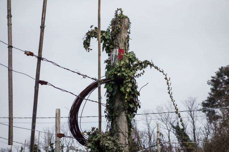 46643133185_8ad351a10a_k