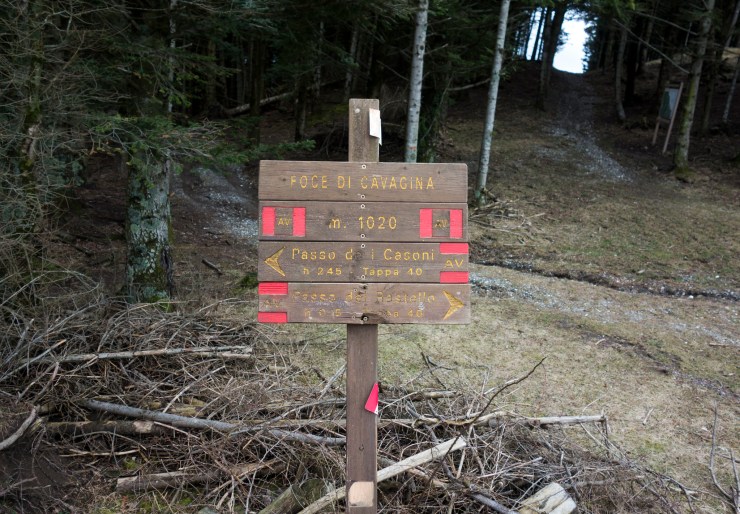 46716635465_765b3968b6_k