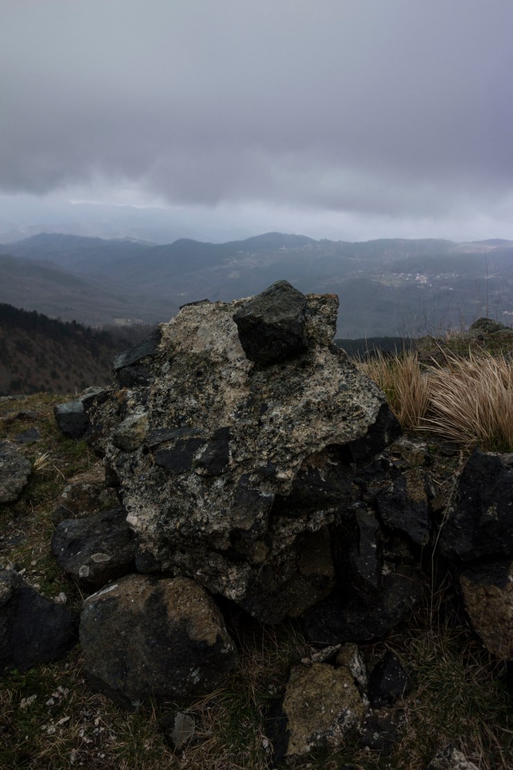 46716647415_42f7fee920_k