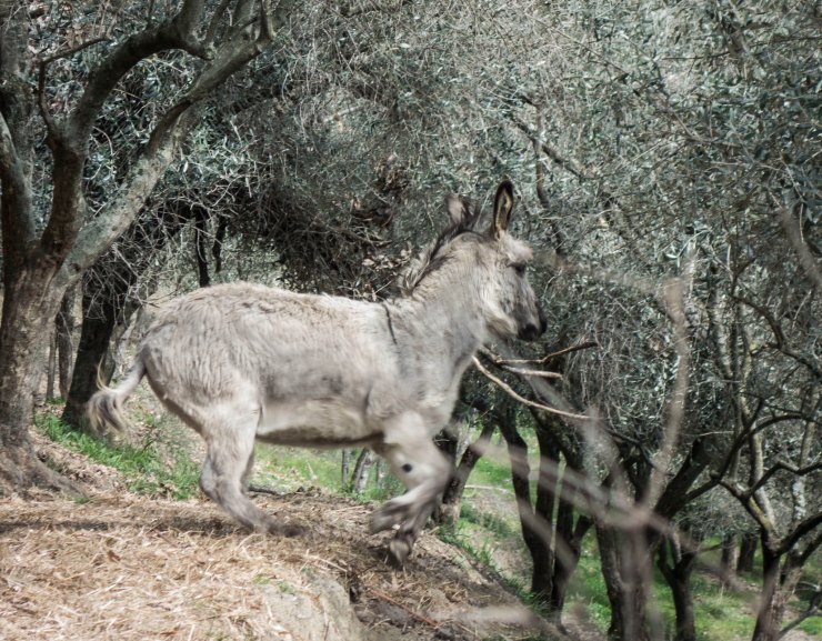 46835036054_6b35a89bc7_k