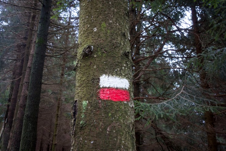 47579358072_f8747b5d39_k