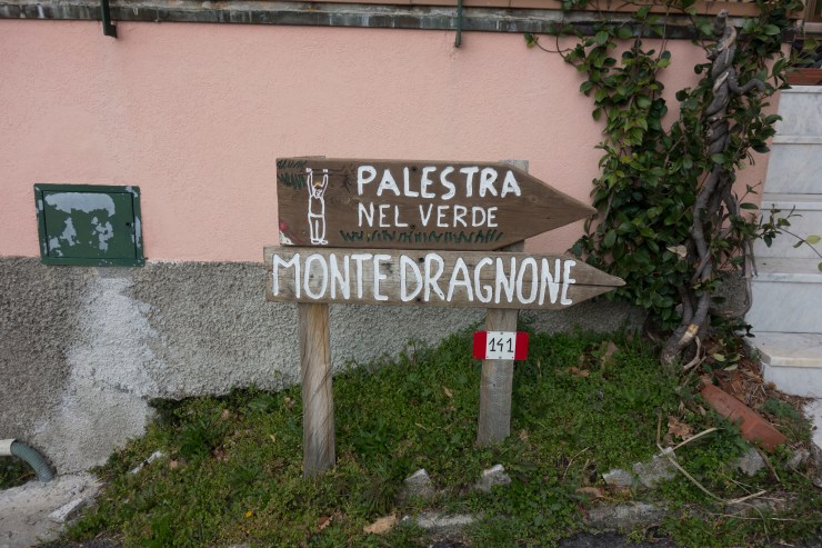 47579407012_c1e9ed653f_k