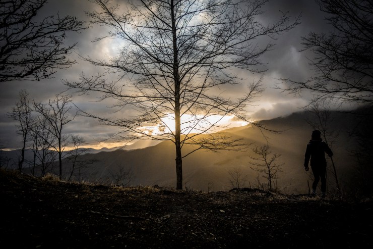 47579423652_62decb0329_k