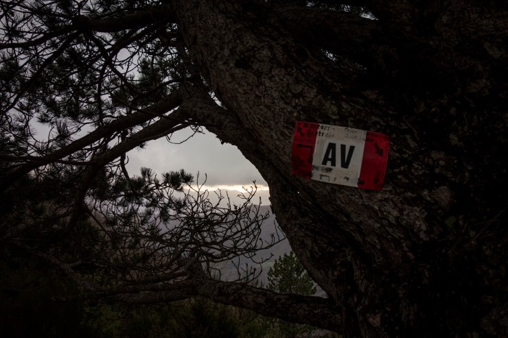 47579428102_864ad1dc62_k