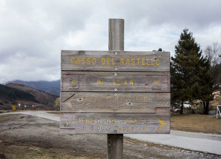 47579439242_ae83be6c1e_k