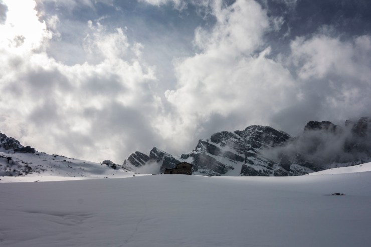 47951132203_b63a4aaf12_k