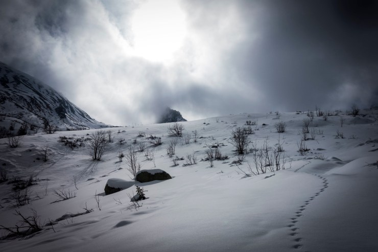 47951162161_e7cde2b1f7_k