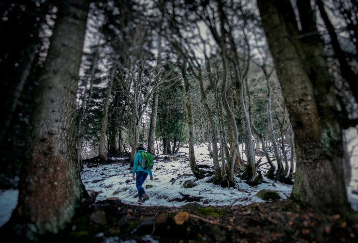 47951163271_db84c1728d_k