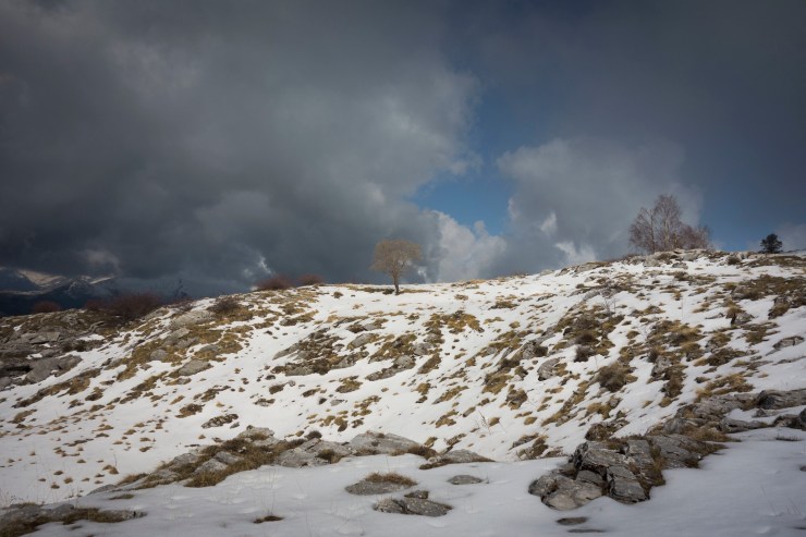 48017995358_cdc607dde5_k