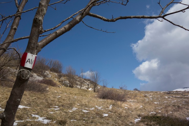 48018000953_25436a2ad6_k