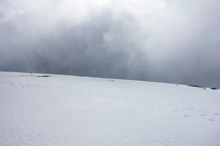 48018069867_732d3ecf73_k