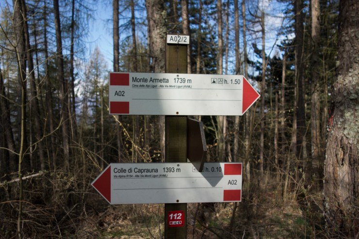 48018102842_fc120d7775_k