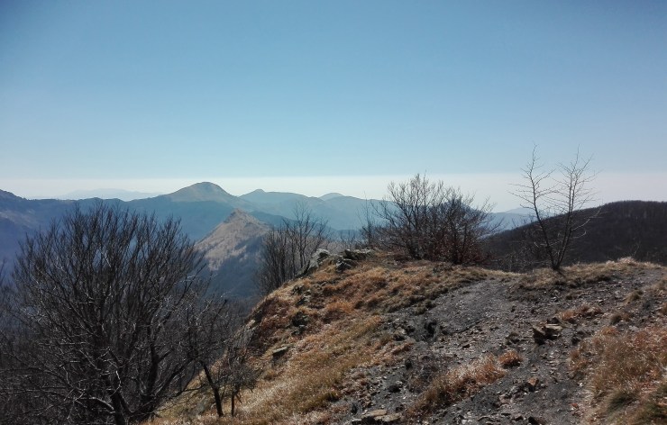 40732891033_166ed15c33_k