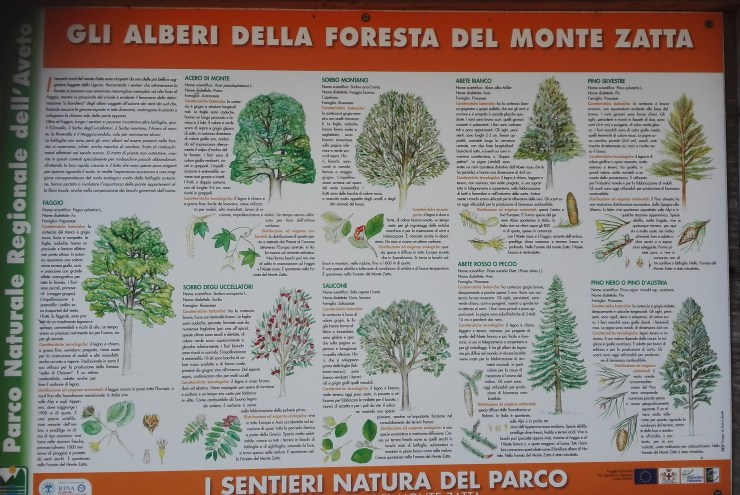 46783027715_f2868d0ffc_k