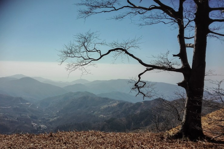 47646078982_c8bd474e69_k