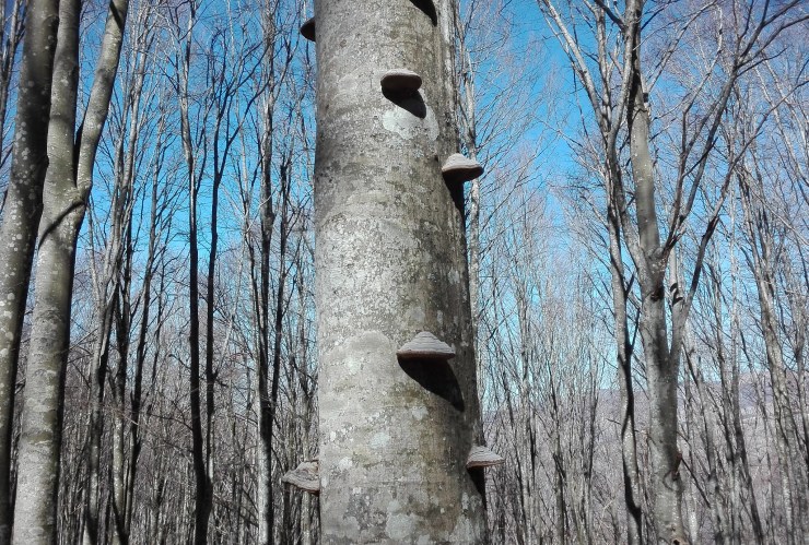 47646105472_d295e3642e_k