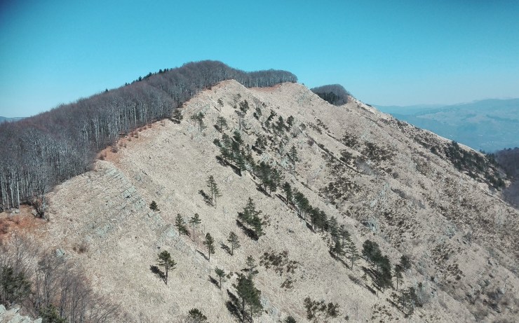 47699262871_9f3d38c40d_k