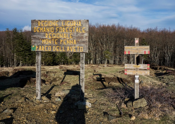 48073504861_820b19a887_k