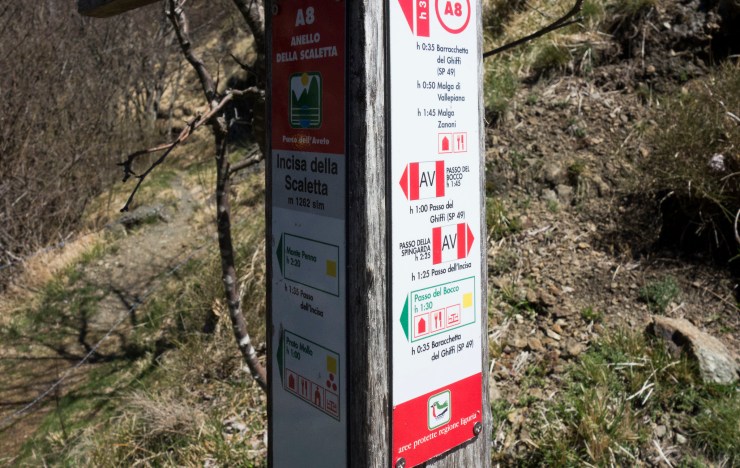 48073521056_3779d2201e_k