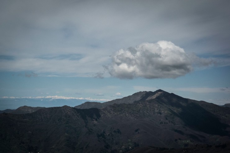 48073526096_f6f997dcfb_k