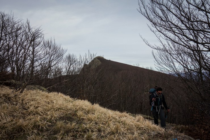 48073550963_e54e60f931_k