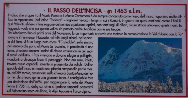 48073558063_7f3ae1de41_k