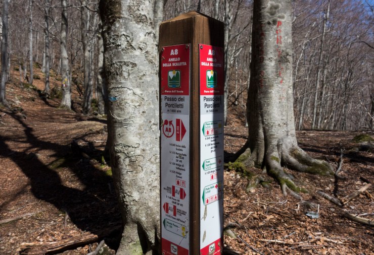 48073561373_bc608bc546_k