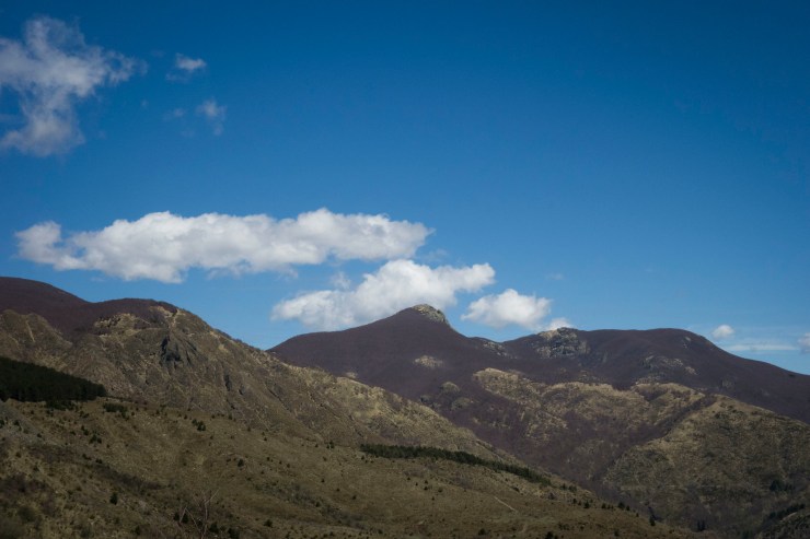 48073568533_cf16458513_k