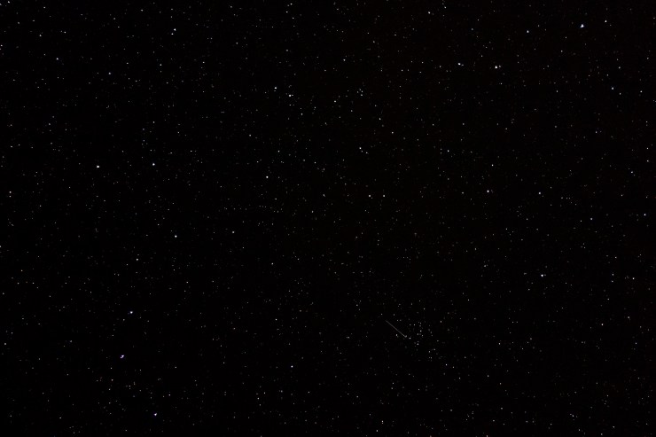 48073603882_f318822384_k