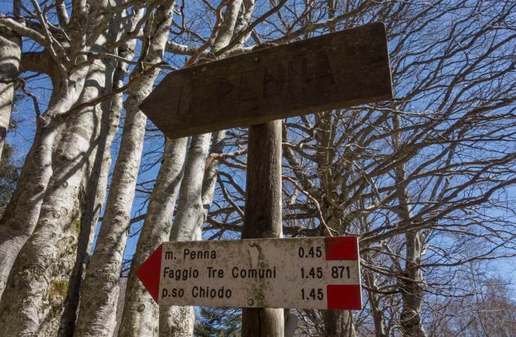 48073619562_eba3b11245_k