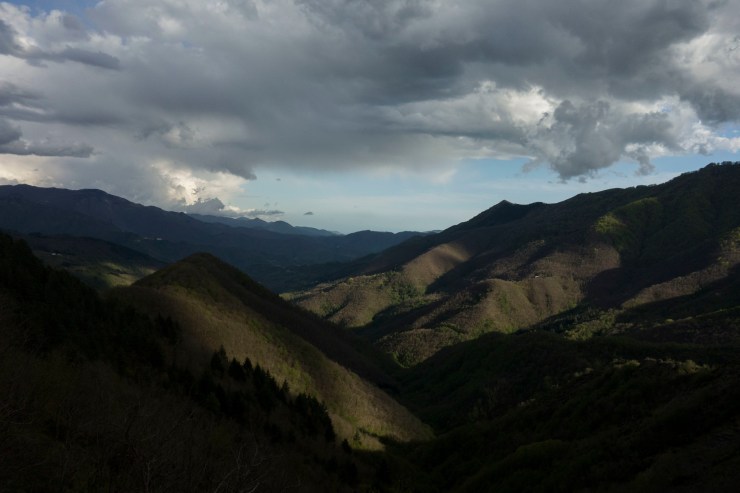 48074021031_3417f7135b_k