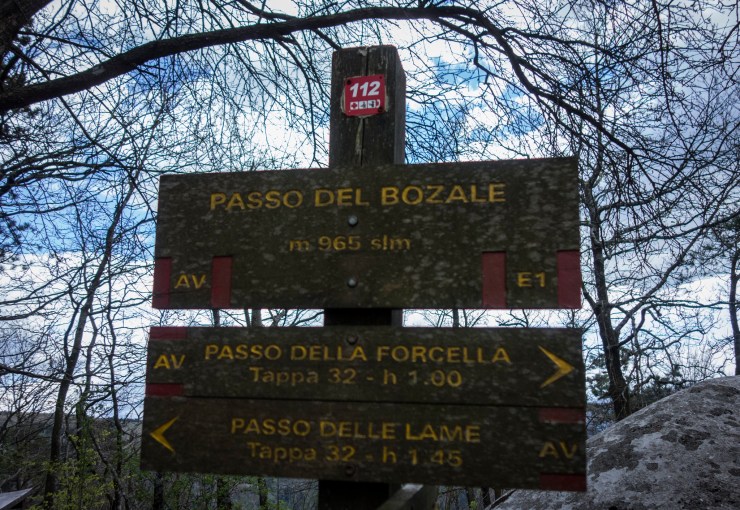 48074022526_9a9ac1642c_k