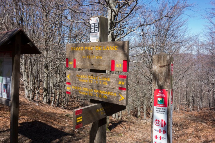 48074028606_9bb7838ffe_k