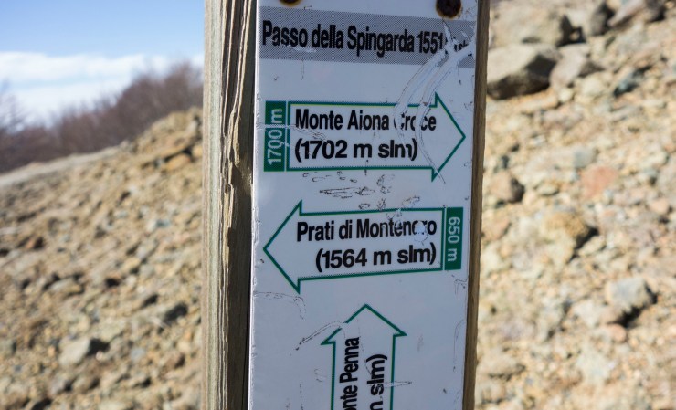 48074035436_b60d6ad694_k