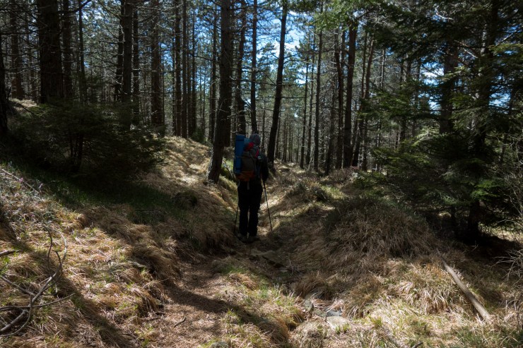 48074071258_b44812b5a0_k