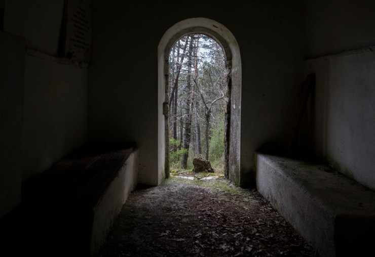 48074128552_b1c2a373f3_k