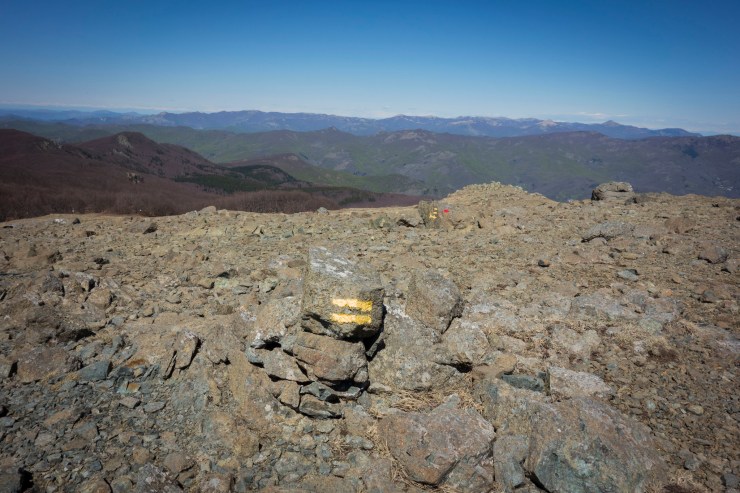 48074136812_d4a81c50a3_k